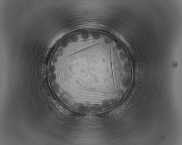 X0000088861067200706291512