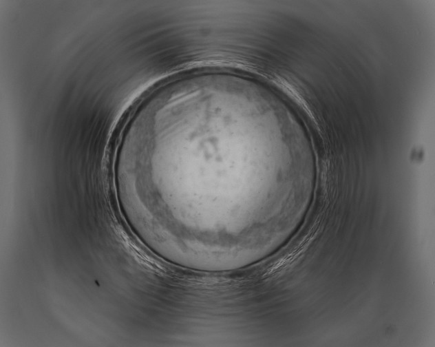 X0000088861068200706291512