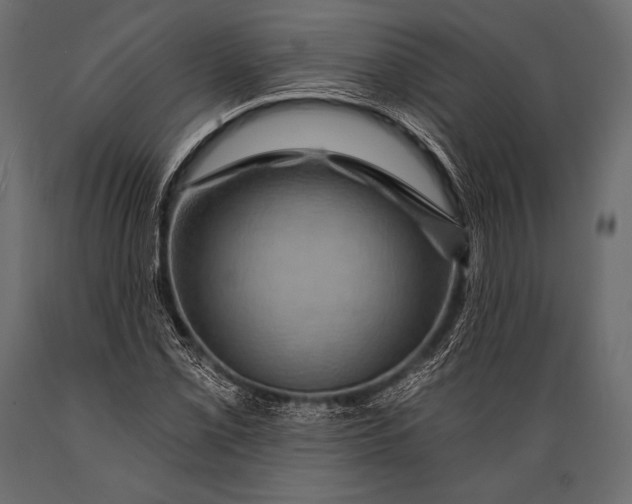 X0000088861069200706291512