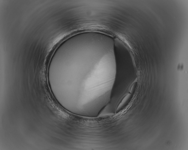 X0000088861071200706291512