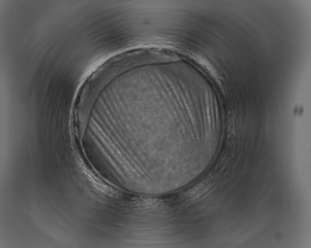 X0000088861072200706291512