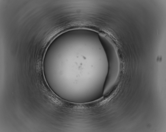 X0000088861073200706291512