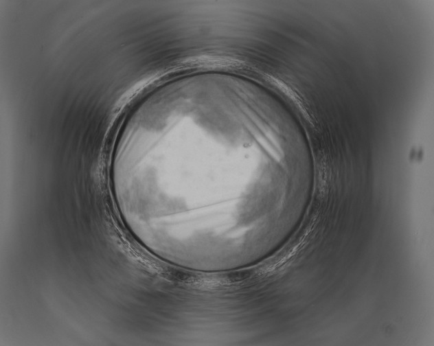 X0000088861074200706291512