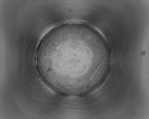 X0000088861075200706291512