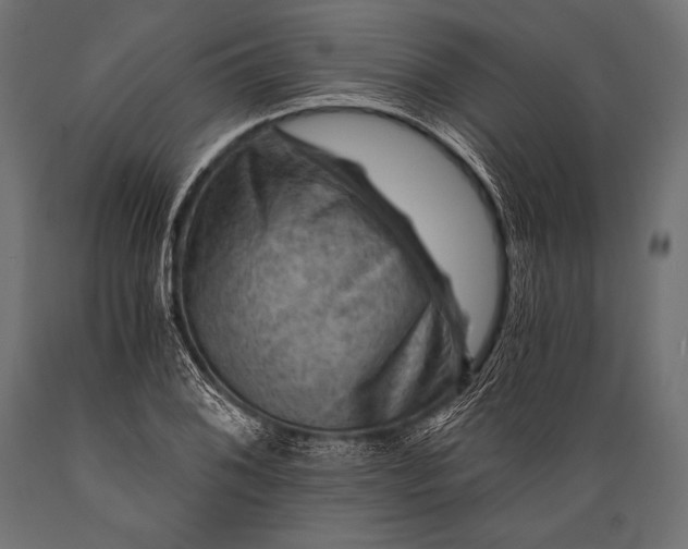 X0000088861076200706291512