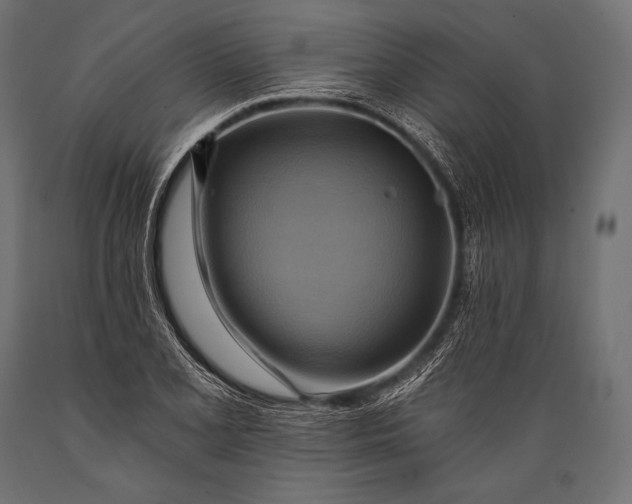 X0000088861077200706291512