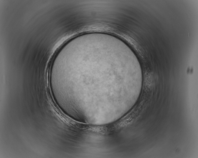 X0000088861078200706291512