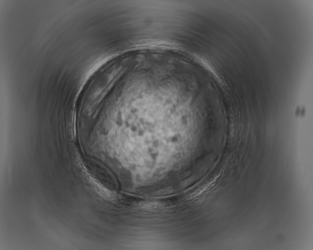 X0000088861079200706291512