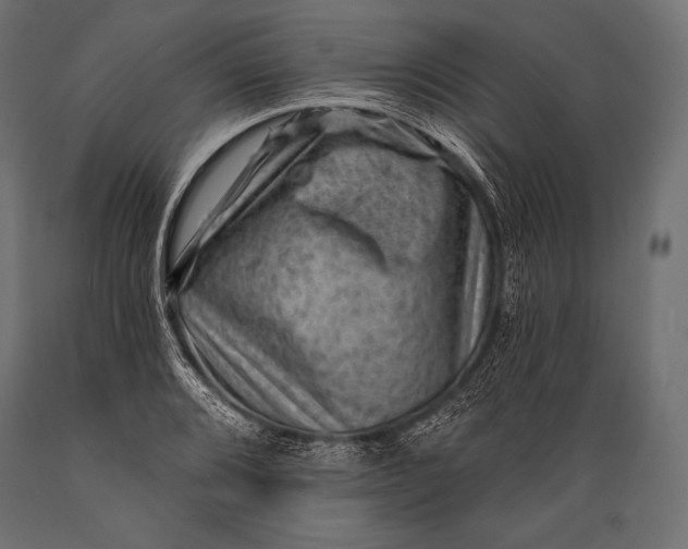 X0000088861080200706291512