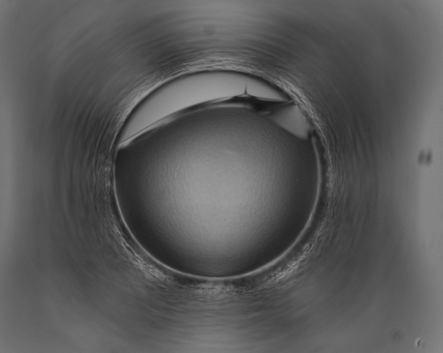 X0000088861081200706291512
