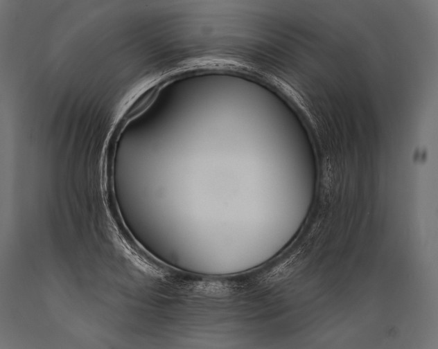 X0000088861082200706291512