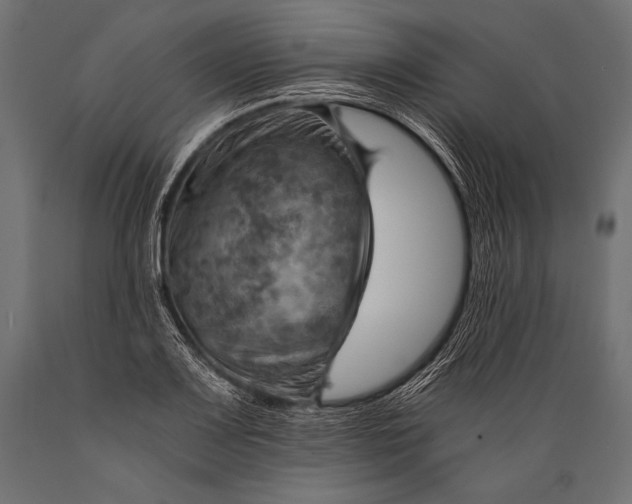 X0000088861083200706291512