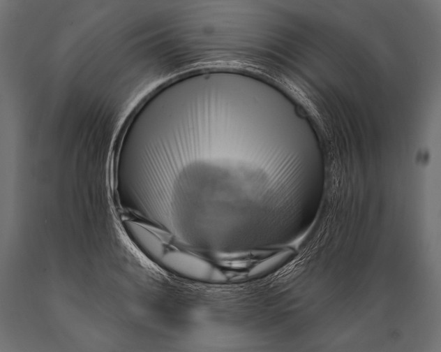 X0000088861084200706291512