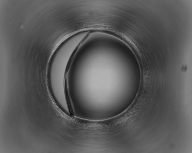 X0000088861085200706291512