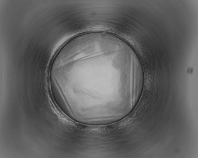 X0000088861086200706291512