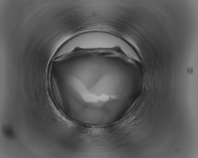 X0000088861087200706291512