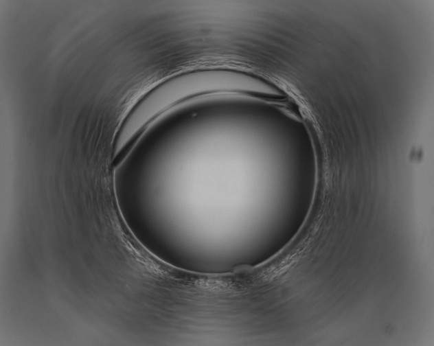 X0000088861089200706291512