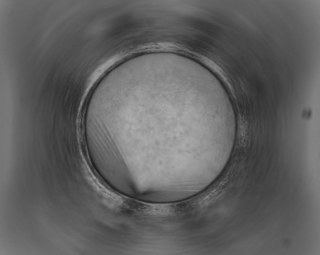 X0000088861090200706291512