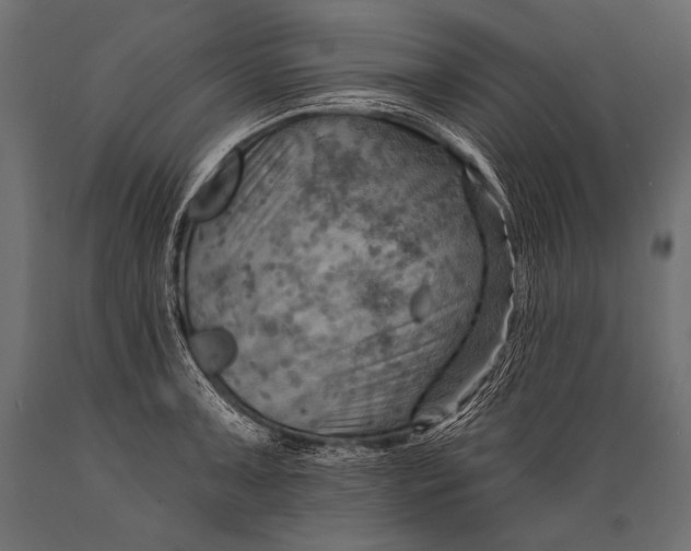 X0000088861091200706291512
