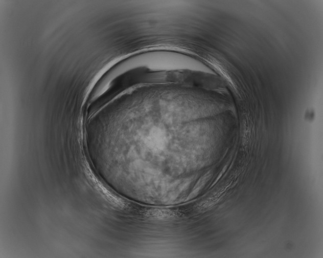X0000088861092200706291512