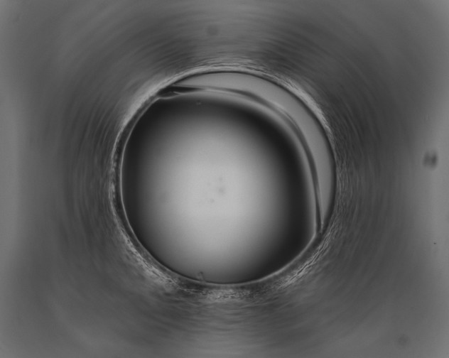 X0000088861093200706291512