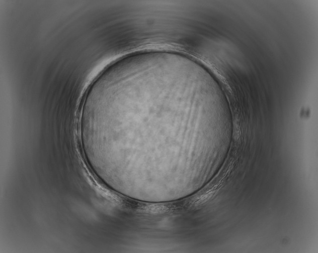 X0000088861094200706291512