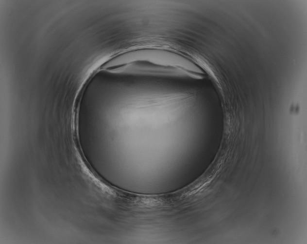 X0000088861095200706291512