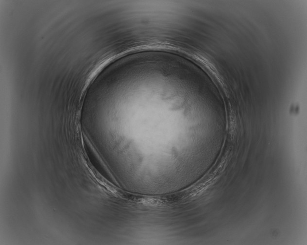 X0000088861097200706291512
