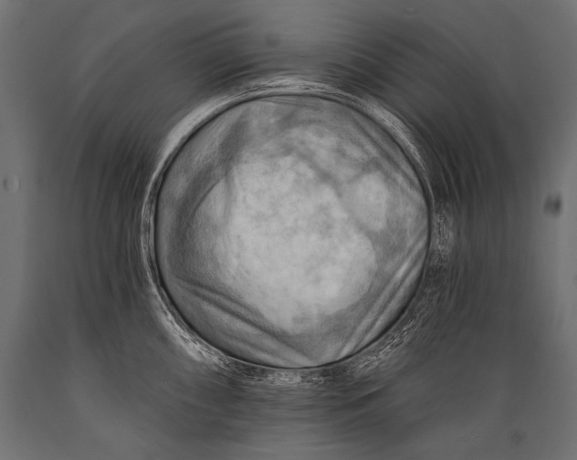 X0000088861098200706291512