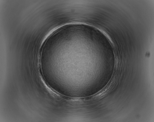 X0000088861101200706291512