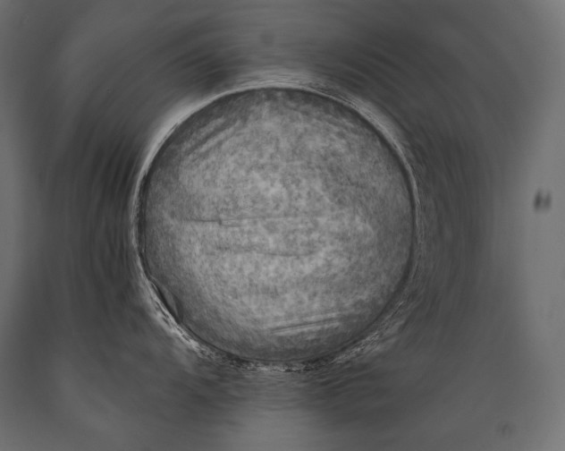 X0000088861104200706291512