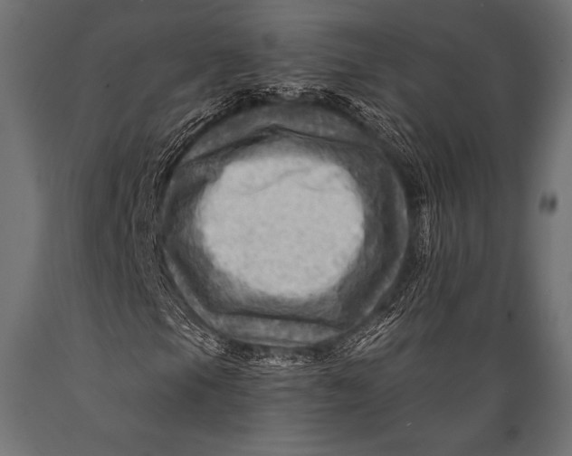 X0000088861105200706291511