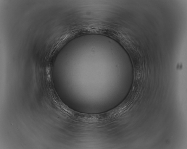 X0000088861106200706291511
