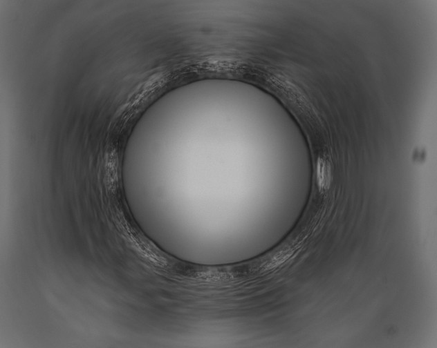 X0000088861107200706291511