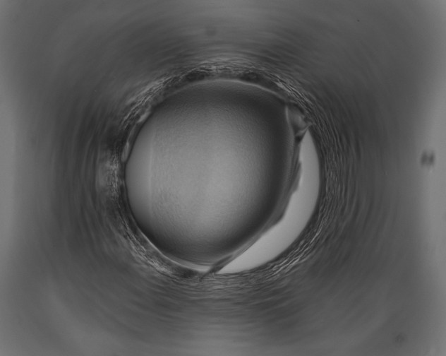 X0000088861108200706291511