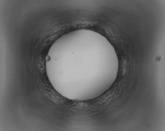 X0000088861109200706291511