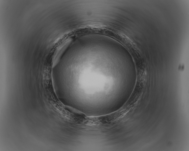 X0000088861110200706291511