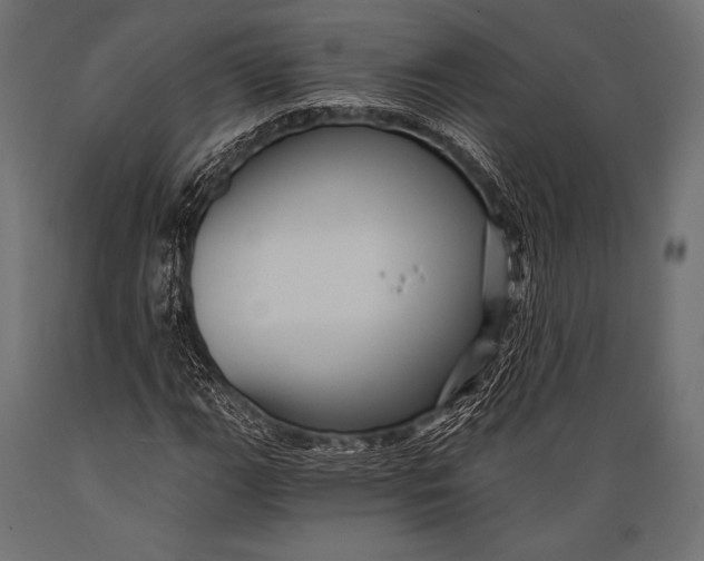 X0000088861111200706291511