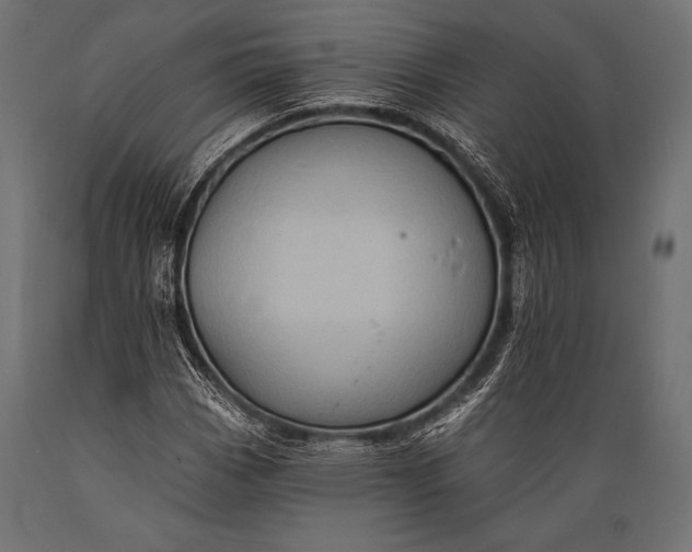 X0000088861113200706291511