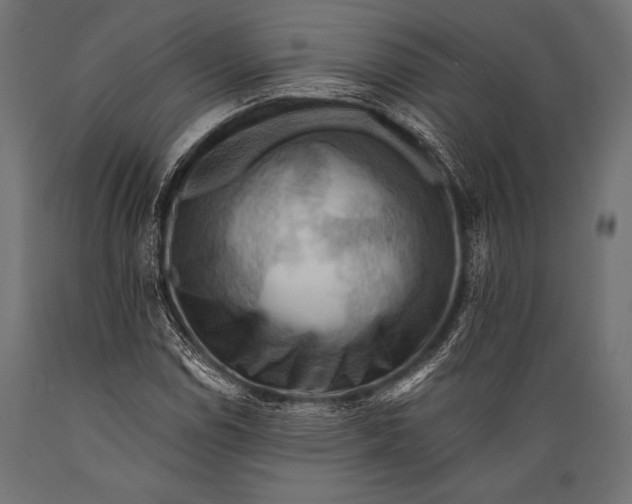 X0000088861114200706291511