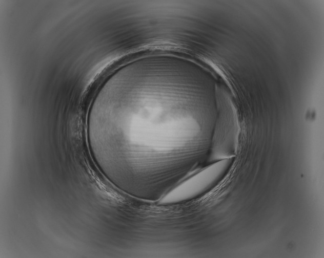 X0000088861115200706291511