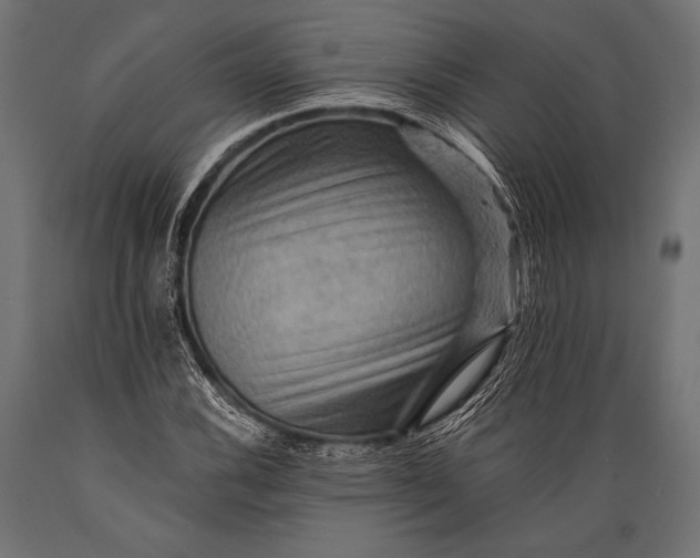 X0000088861116200706291511