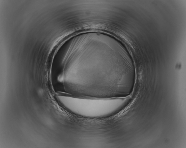 X0000088861117200706291511