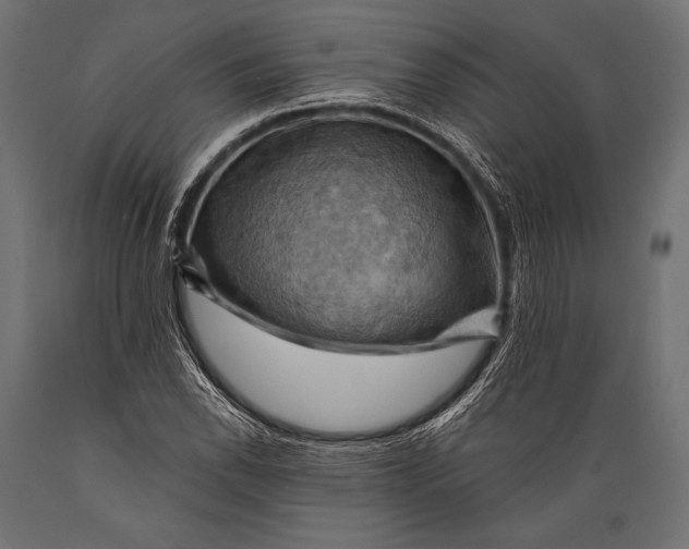 X0000088861118200706291511