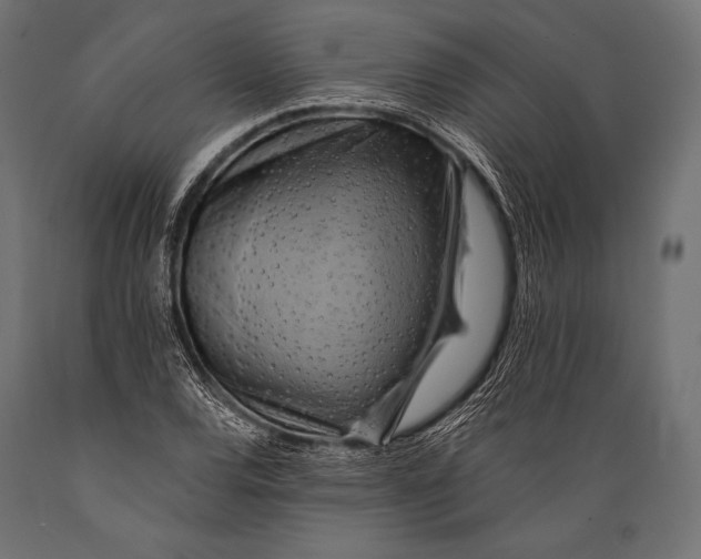 X0000088861120200706291511
