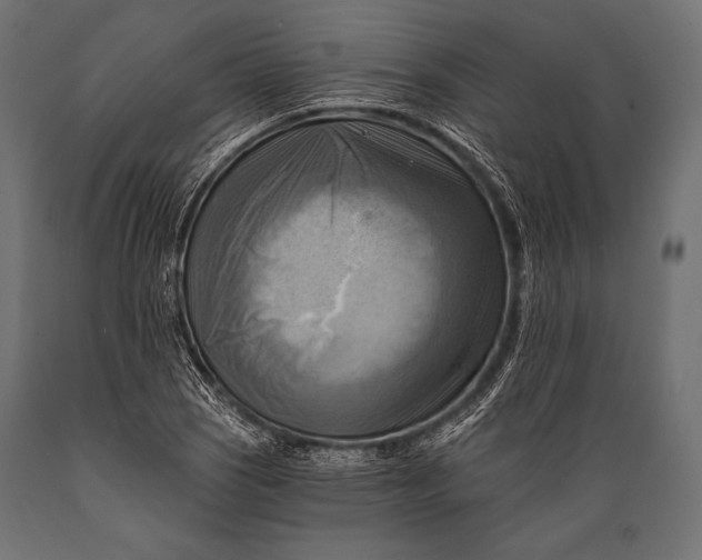 X0000088861121200706291511