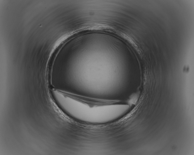 X0000088861122200706291511