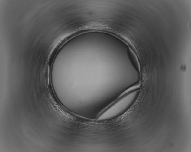 X0000088861123200706291511