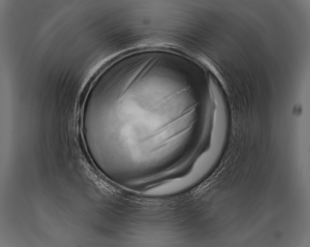 X0000088861124200706291511