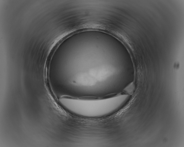 X0000088861125200706291511